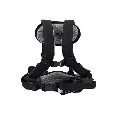 Back System